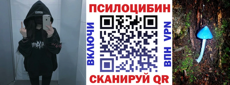 купить наркотик  Калачинск  кракен tor  Псилоцибиновые грибы мицелий 